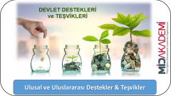 Devlet Destekleri Danışmanlığı